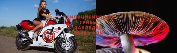 твердый Алексин