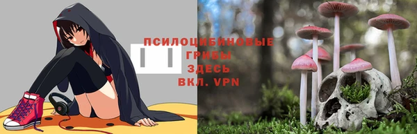 твердый Алексин