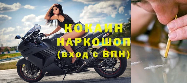 твердый Алексин