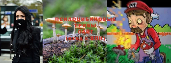 марки nbome Алзамай