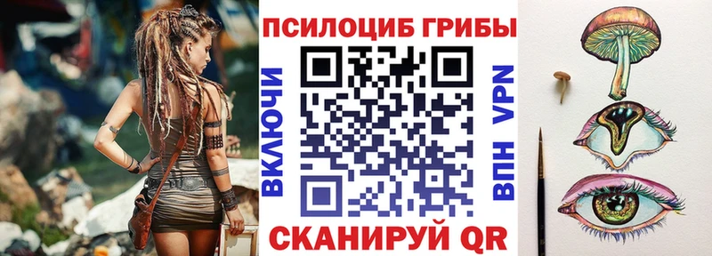 Псилоцибиновые грибы Psilocybe  купить наркоту  блэк спрут онион  Алексин 