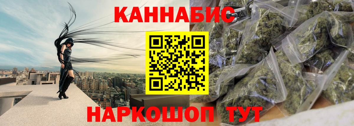 Каннабис сатива Алексин